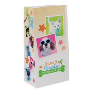 5" x 9.75" x 3.125" SOS 4# Paper Bag Full Color